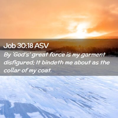 Picture 02 - Job 30:18 ASV - By `God's' great force is my garment disfigured; - Bible Verse Picture