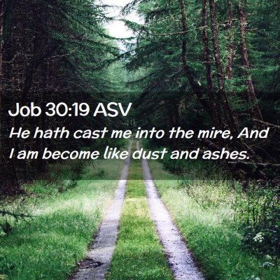 Picture 02 - Job 30:19 ASV - He hath cast me into the mire, And I am become - Bible Verse Picture