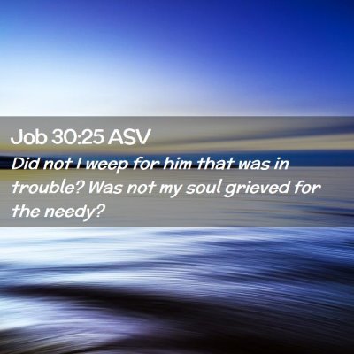 Picture 02 - Job 30:25 ASV - Did not I weep for him that was in trouble? Was - Bible Verse Picture