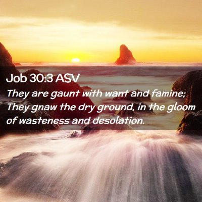 Picture 02 - Job 30:3 ASV - They are gaunt with want and famine; They gnaw - Bible Verse Picture