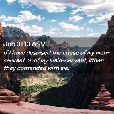 Picture 02 - Job 31:13 ASV - If I have despised the cause of my man-servant or - Bible Verse Picture