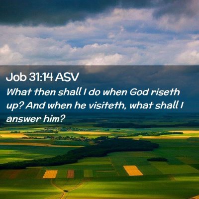 Picture 02 - Job 31:14 ASV - What then shall I do when God riseth up? And when - Bible Verse Picture