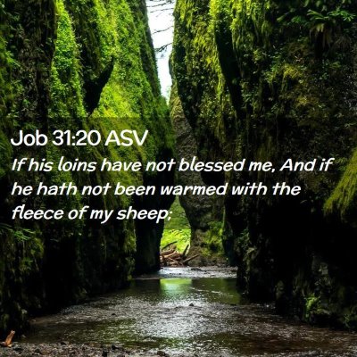 Picture 02 - Job 31:20 ASV - If his loins have not blessed me, And if he hath - Bible Verse Picture