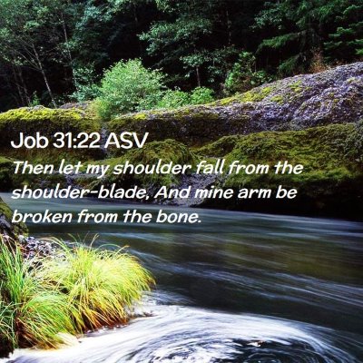 Picture 02 - Job 31:22 ASV - Then let my shoulder fall from the - Bible Verse Picture