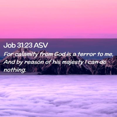Picture 02 - Job 31:23 ASV - For calamity from God is a terror to me, And by - Bible Verse Picture