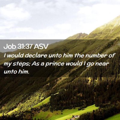 Picture 02 - Job 31:37 ASV - I would declare unto him the number of my steps; - Bible Verse Picture