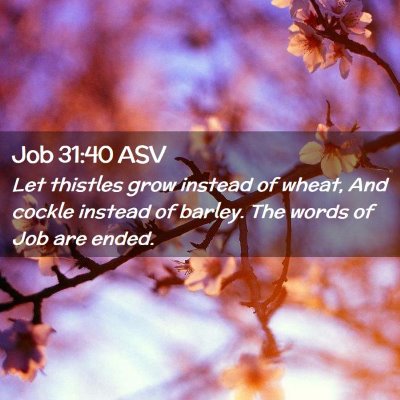 Picture 02 - Job 31:40 ASV - Let thistles grow instead of wheat, And cockle - Bible Verse Picture