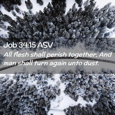 Picture 02 - Job 34:15 ASV - All flesh shall perish together, And man shall - Bible Verse Picture