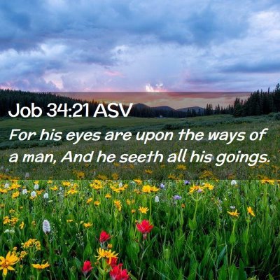Picture 02 - Job 34:21 ASV - For his eyes are upon the ways of a man, And he - Bible Verse Picture