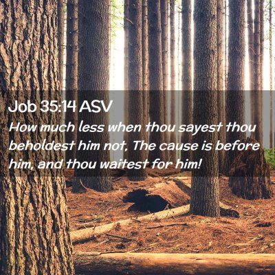 Picture 02 - Job 35:14 ASV - How much less when thou sayest thou beholdest him - Bible Verse Picture