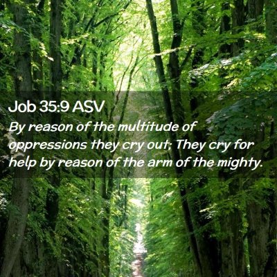 Picture 02 - Job 35:9 ASV - By reason of the multitude of oppressions they - Bible Verse Picture