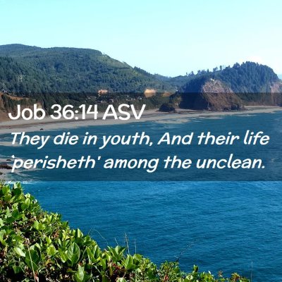 Picture 02 - Job 36:14 ASV - They die in youth, And their life `perisheth' - Bible Verse Picture