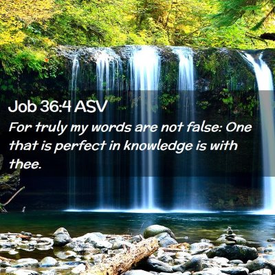 Picture 02 - Job 36:4 ASV - For truly my words are not false: One that is - Bible Verse Picture