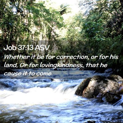 Picture 02 - Job 37:13 ASV - Whether it be for correction, or for his land, Or - Bible Verse Picture