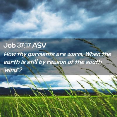 Picture 02 - Job 37:17 ASV - How thy garments are warm, When the earth is - Bible Verse Picture