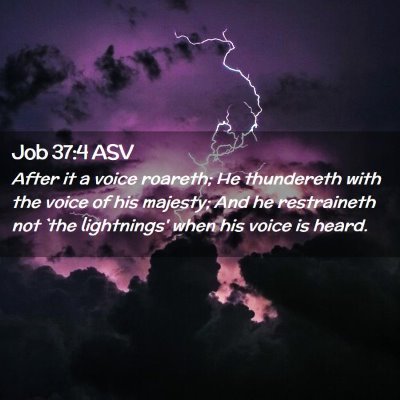 Picture 02 - Job 37:4 ASV - After it a voice roareth; He thundereth with the - Bible Verse Picture