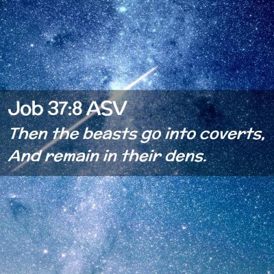 Picture 02 - Job 37:8 ASV - Then the beasts go into coverts, And remain in - Bible Verse Picture
