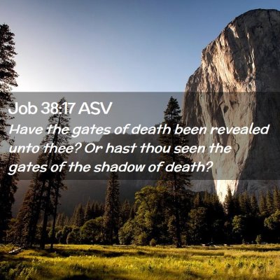 Picture 02 - Job 38:17 ASV - Have the gates of death been revealed unto thee? - Bible Verse Picture