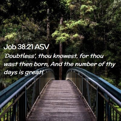 Picture 02 - Job 38:21 ASV - `Doubtless', thou knowest, for thou wast then - Bible Verse Picture