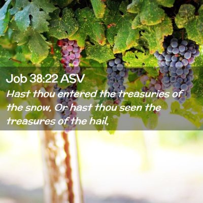 Picture 02 - Job 38:22 ASV - Hast thou entered the treasuries of the snow, Or - Bible Verse Picture