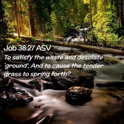 Picture 02 - Job 38:27 ASV - To satisfy the waste and desolate `ground', And - Bible Verse Picture