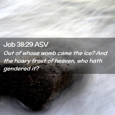 Picture 02 - Job 38:29 ASV - Out of whose womb came the ice? And the hoary - Bible Verse Picture