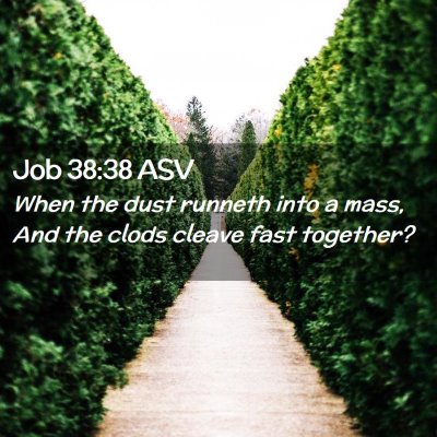 Picture 02 - Job 38:38 ASV - When the dust runneth into a mass, And the clods - Bible Verse Picture