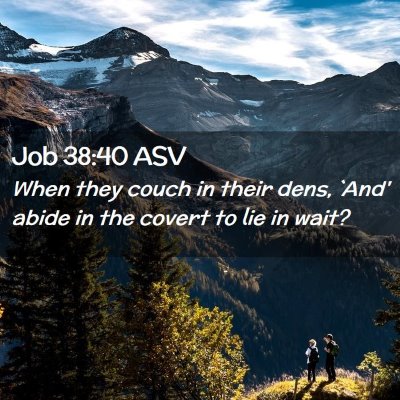Picture 02 - Job 38:40 ASV - When they couch in their dens, `And' abide in the - Bible Verse Picture