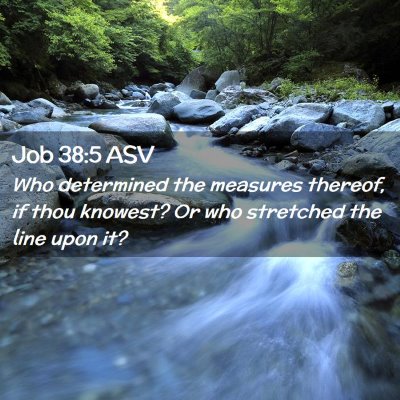 Picture 02 - Job 38:5 ASV - Who determined the measures thereof, if thou - Bible Verse Picture