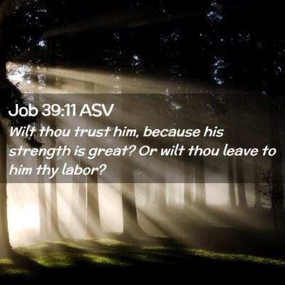 Picture 02 - Job 39:11 ASV - Wilt thou trust him, because his strength is - Bible Verse Picture