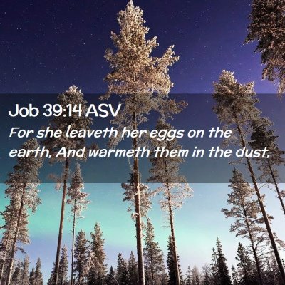 Picture 02 - Job 39:14 ASV - For she leaveth her eggs on the earth, And - Bible Verse Picture