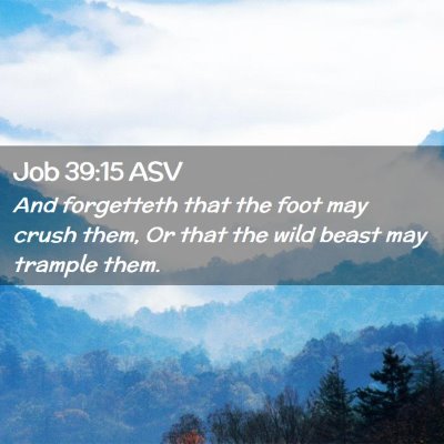 Picture 02 - Job 39:15 ASV - And forgetteth that the foot may crush them, Or - Bible Verse Picture