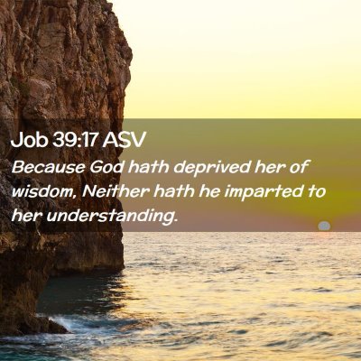 Picture 02 - Job 39:17 ASV - Because God hath deprived her of wisdom, Neither - Bible Verse Picture