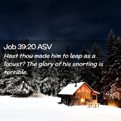 Picture 02 - Job 39:20 ASV - Hast thou made him to leap as a locust? The glory - Bible Verse Picture
