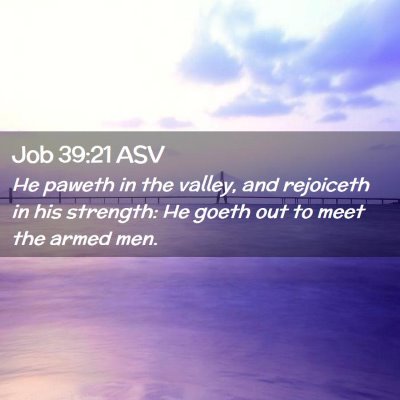 Picture 02 - Job 39:21 ASV - He paweth in the valley, and rejoiceth in his - Bible Verse Picture