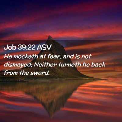 Picture 02 - Job 39:22 ASV - He mocketh at fear, and is not dismayed; Neither - Bible Verse Picture