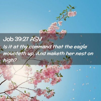 Picture 02 - Job 39:27 ASV - Is it at thy command that the eagle mounteth up, - Bible Verse Picture