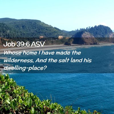 Picture 02 - Job 39:6 ASV - Whose home I have made the wilderness, And the - Bible Verse Picture