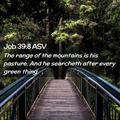 Picture 02 - Job 39:8 ASV - The range of the mountains is his pasture, And he - Bible Verse Picture