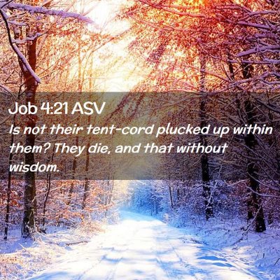 Picture 02 - Job 4:21 ASV - Is not their tent-cord plucked up within them? - Bible Verse Picture