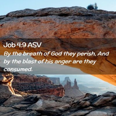 Picture 02 - Job 4:9 ASV - By the breath of God they perish, And by the - Bible Verse Picture