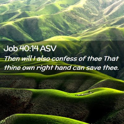 Picture 02 - Job 40:14 ASV - Then will I also confess of thee That thine own - Bible Verse Picture