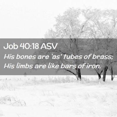 Picture 02 - Job 40:18 ASV - His bones are `as' tubes of brass; His limbs are - Bible Verse Picture