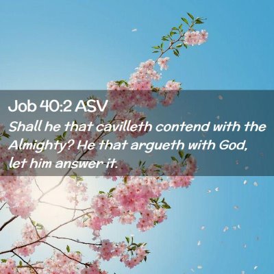 Picture 02 - Job 40:2 ASV - Shall he that cavilleth contend with the - Bible Verse Picture