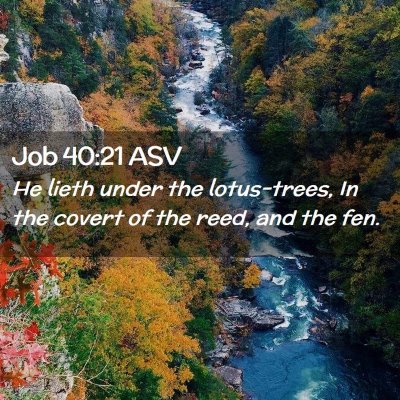 Picture 02 - Job 40:21 ASV - He lieth under the lotus-trees, In the covert of - Bible Verse Picture