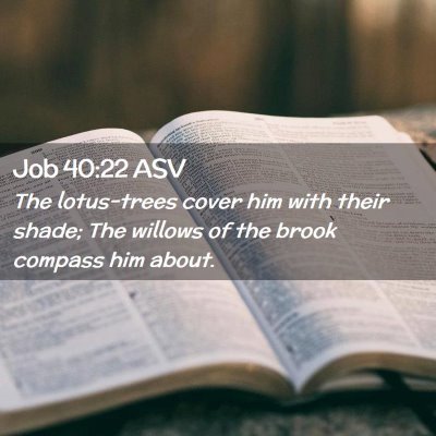 Picture 02 - Job 40:22 ASV - The lotus-trees cover him with their shade; The - Bible Verse Picture