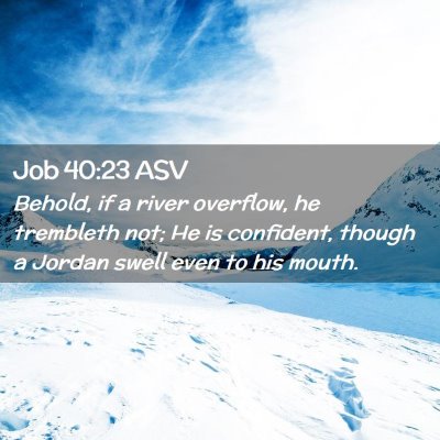 Picture 02 - Job 40:23 ASV - Behold, if a river overflow, he trembleth not; He - Bible Verse Picture