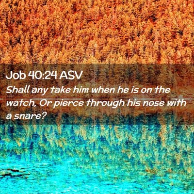 Picture 02 - Job 40:24 ASV - Shall any take him when he is on the watch, Or - Bible Verse Picture