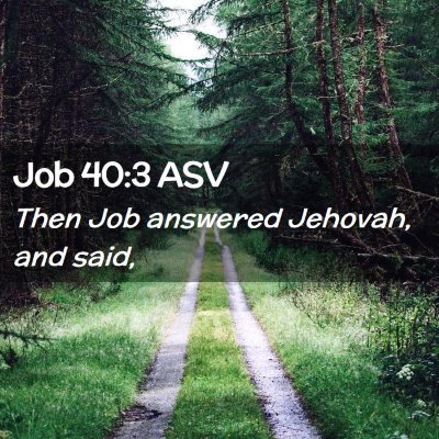 Picture 02 - Job 40:3 ASV - Then Job answered Jehovah, and - Bible Verse Picture