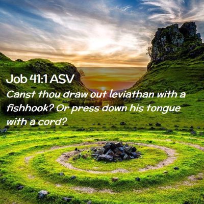 Picture 02 - Job 41:1 ASV - Canst thou draw out leviathan with a fishhook? Or - Bible Verse Picture